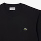 CAMISETA HOMBRE  LACOSTE TEE-SHIRT
