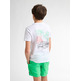 CAMISETA NIÑO PETROL INDUSTRIES CON DISEÑO EN ESPALDA