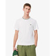 CAMISETA HOMBRE LACOSTE CUELLO CANALÉ