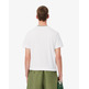 CAMISETA HOMBRE LACOSTE CUELLO CANALÉ