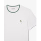 CAMISETA HOMBRE LACOSTE CUELLO CANALÉ