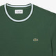 CAMISETA HOMBRE LACOSTE CUELLO CANALÉ