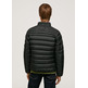 CAZADORA CORTA ACOLCHADA HOMBRE PEPE JEANS JACK