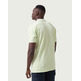 POLO HOMBRE  ALTONADOCK POLO VERDE CLARO