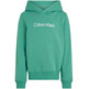 SUDADERA IFANTIL CALVIN KLEIN CON CAPUCHA