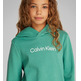 SUDADERA IFANTIL CALVIN KLEIN CON CAPUCHA