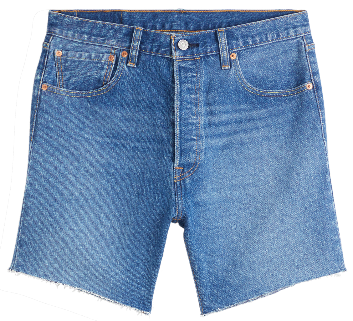 PANTALÓN CORTO HOMBRE LEVIS SHORTS EYES BIRD